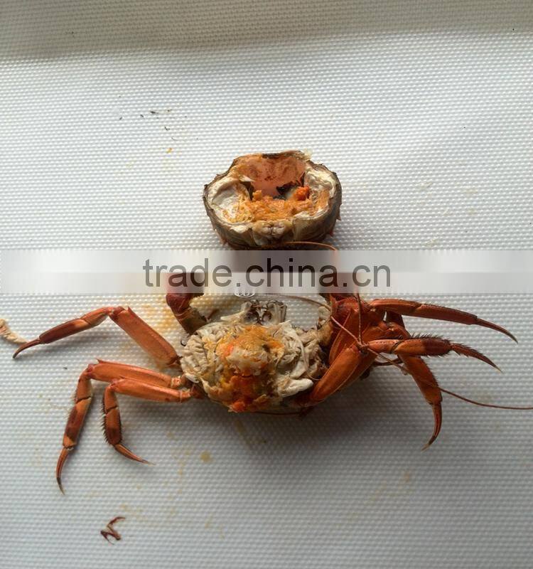 Crabs Continouous Microwave Cooker