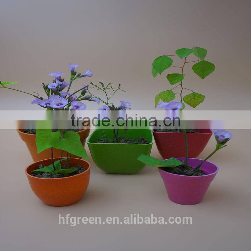2015 Best selling square bamboo fiber mini flower pot/planter/container