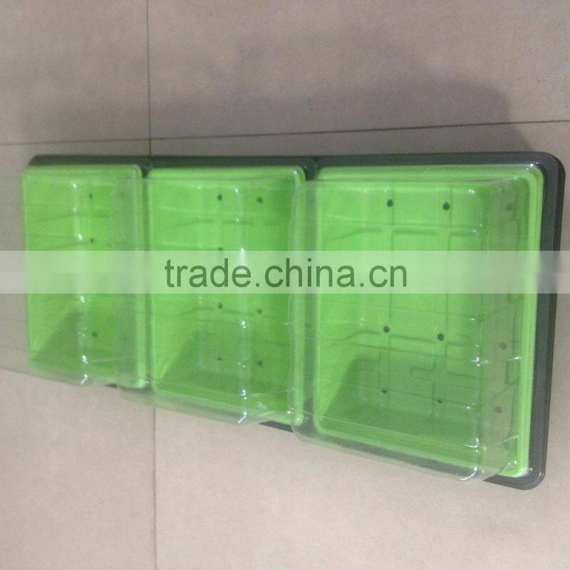 factory selling&blister Seedling pot&Mini Green house