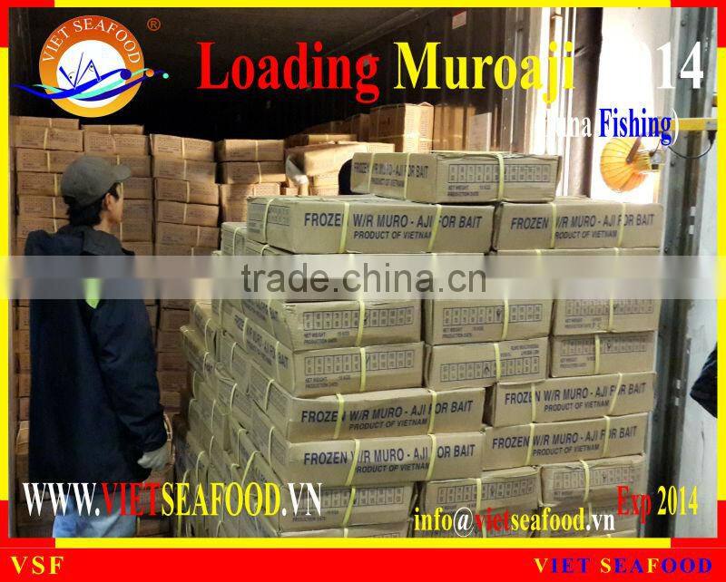 LOADING MUROAJI FOR TUNA BAIT