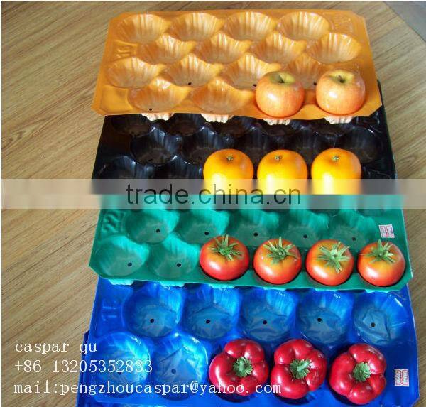 Factory Directly Eco-friendly Colorful PP Plastic Thermal Food Container