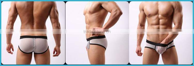 Without Logo Hot Sexi Photo Image Of Transparent Mesh Men Underwear Briefs Custom SC16