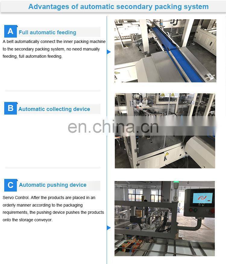 Cake wafer cracker HFFS multipack small pouch into plastic bag automatic feeding packing system