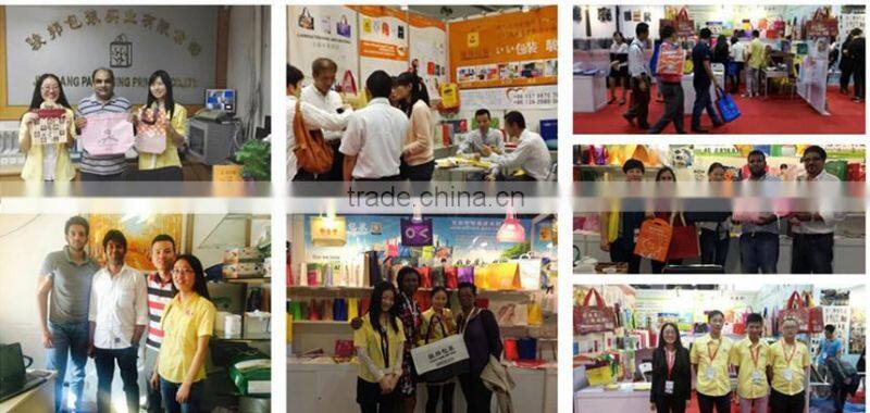 Plastic Zip Lock Packaging bag Plastic Bag for Fish Food