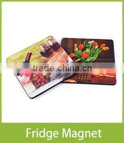 Colorful Fan/Foldable Fan/Colorful Promotional Foldable Fan