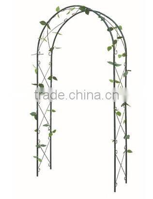 rose arch