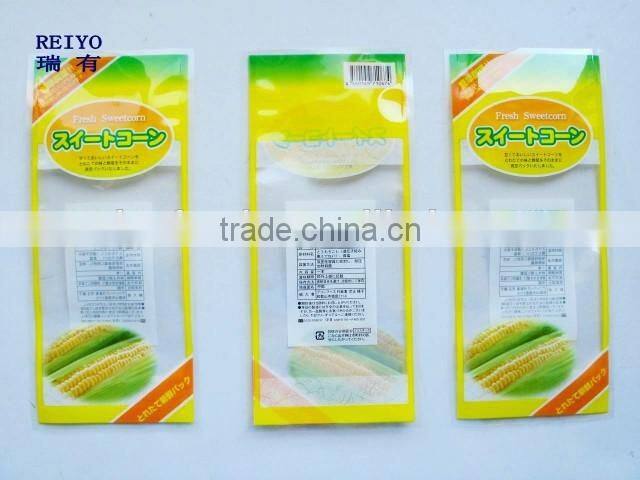 cooler bag for frozen food