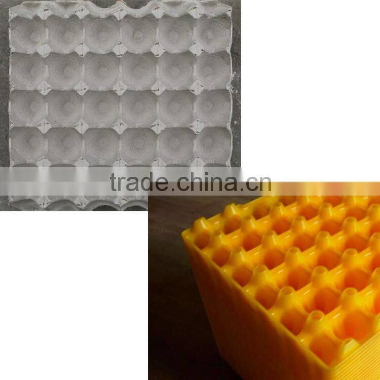 New technology plastic trays for eggs