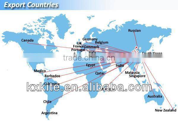 mini Advertising Customized windsocks