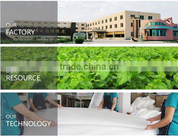 100% TOP mulberry silk quilt