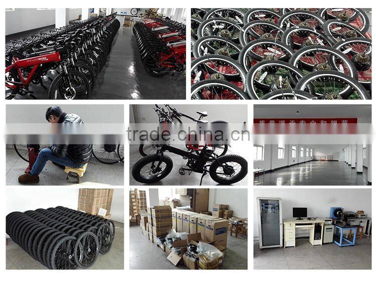 CE appoved 48v 1000w motor bldc