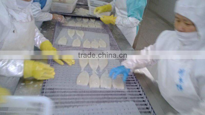 seafood squid tube U5/ U10