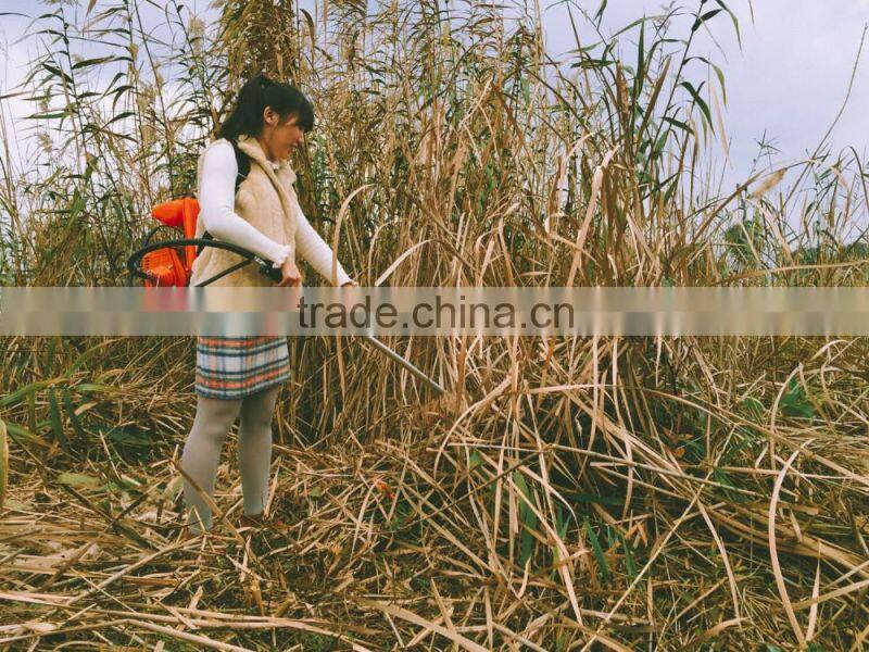 high quality knapsack brush cutter bg328 grass cutter machine