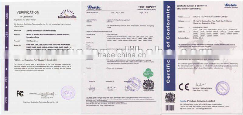 Hot Sale High Quality Plastic Capsule shaped USB OEM free service (U-101)