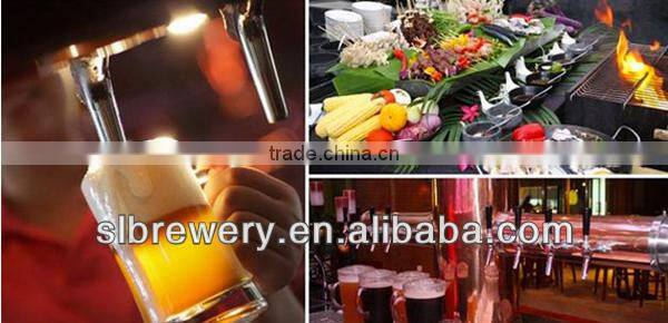 new design 200l beer brewery machine for small brewery