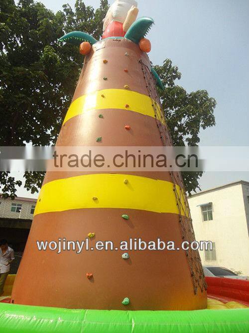 Kids rock backyard climbing wall