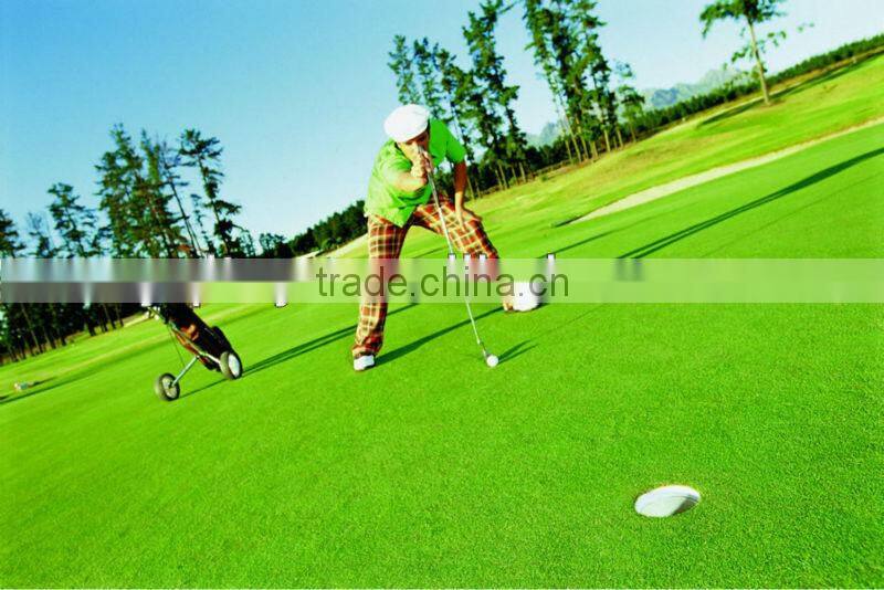 Plastic grass carpet