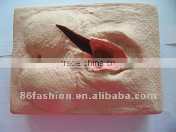 anatomical models,train model,skeleton model,manikin