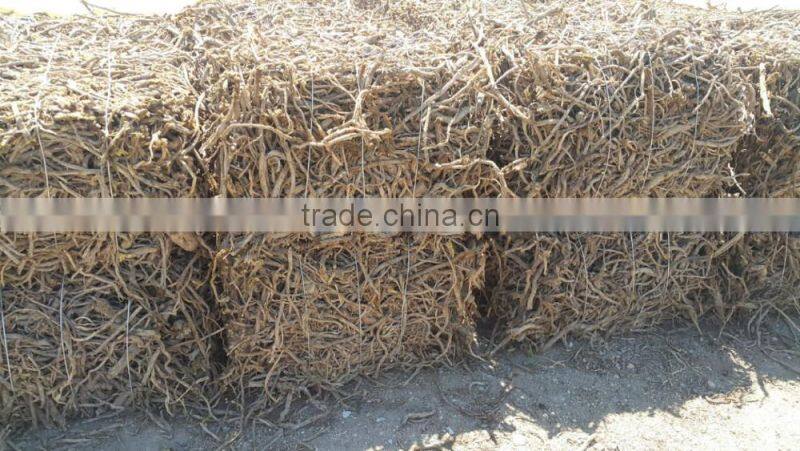 Licorice Root Exporters from India