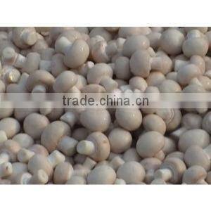 BNP Sells agaricus blazei murill mushroom Capsule