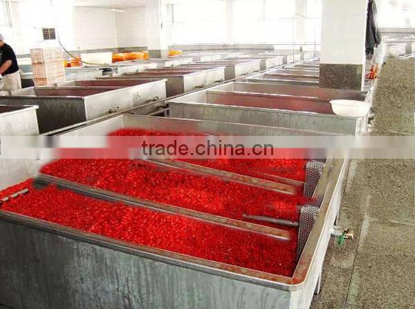 New Crop dried cherry for hot sale/red cherry lashes