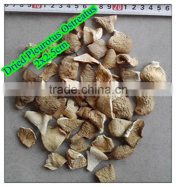 Dried pleurotus ostreatus