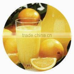 Orange Juice Squeezer Machine - 50-65 KG/H, TT-J113