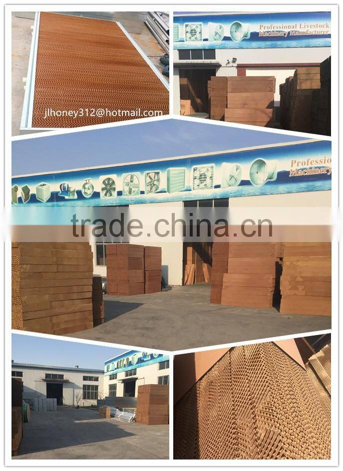 1380mm Butterfly Cone Type Exclusive manufacturing wall mounted industrial ventilation fan