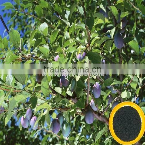 humic acid for Cereal