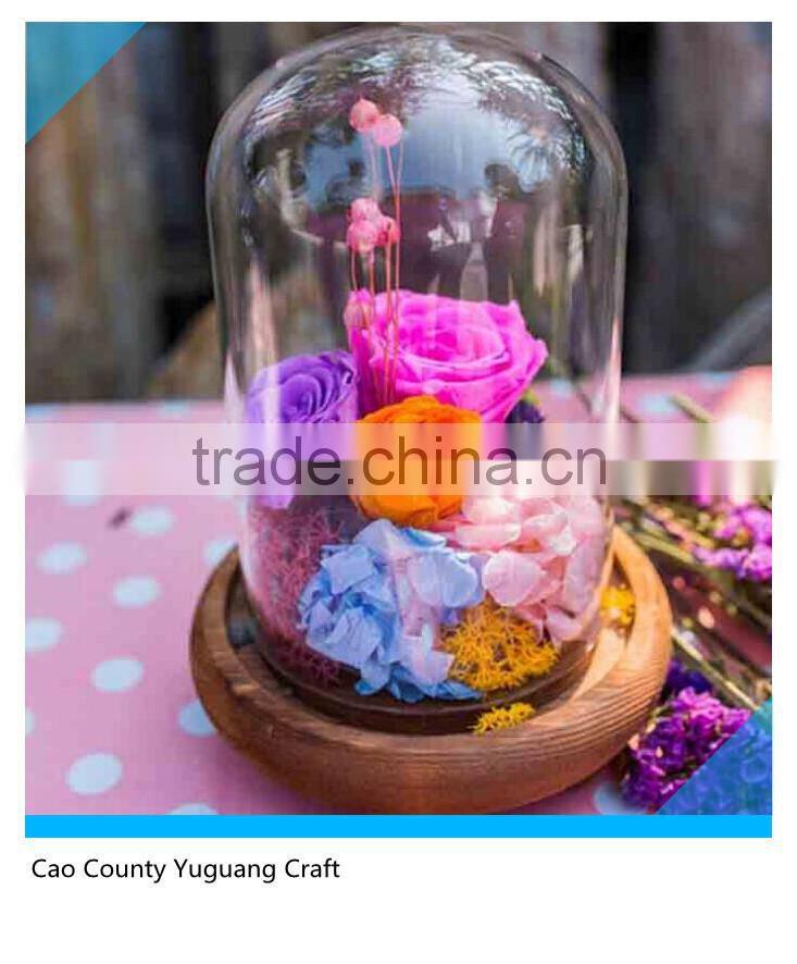 Hot Sale Micro Landscape Wooden Base For Home Decoration