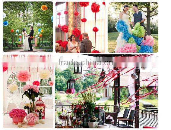 Fashion tissue paper pom poms flower balls
