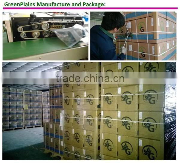 Drip Irrigation Plastic Mini Valve for thread fitting and PE pipe