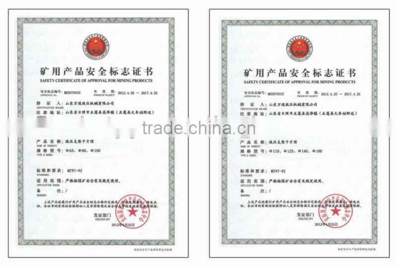 hydraulic cylinder for marine use