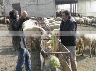 barley bud seedling machine/green grass growing machine/pasture grow machine on sale