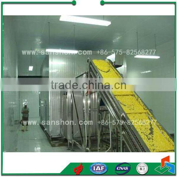 Advanced Sanshon LSZ-0.5 Food Fluidized Individual Fast Freezer