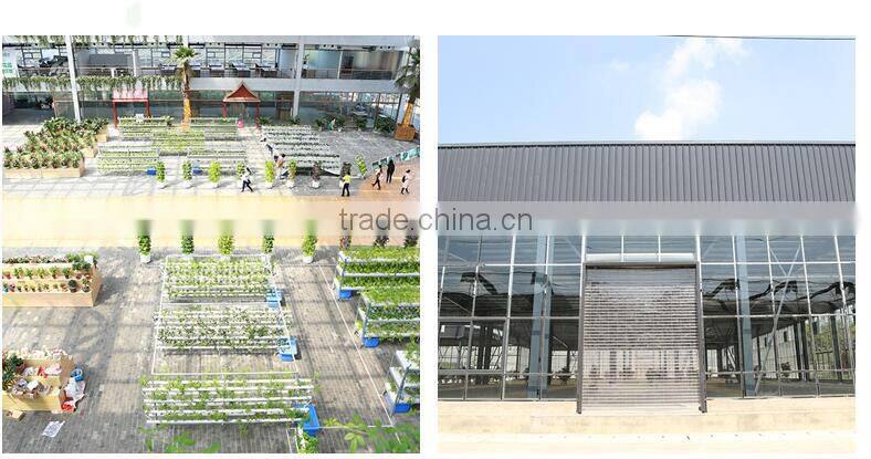 Cheap commercial plastic tunnel tomato greenhouses for sale
