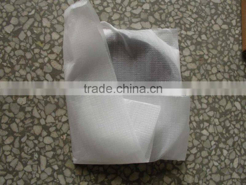 pit and sand pendulum SP025M