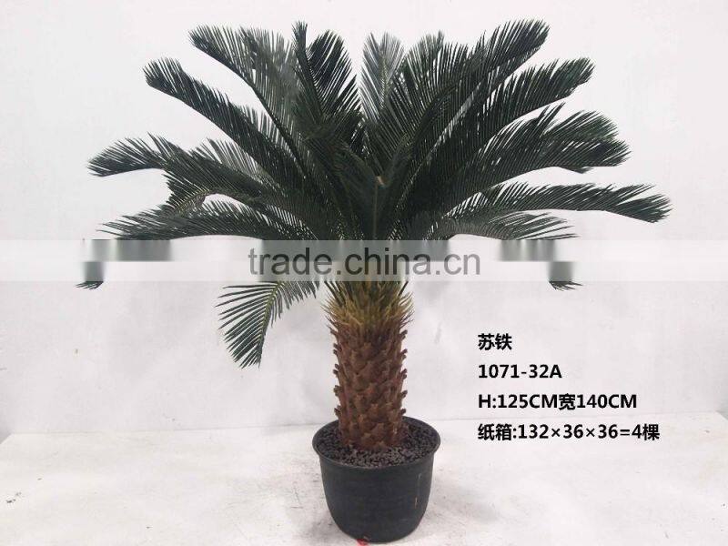 1071-32 plastic pot cycads tree