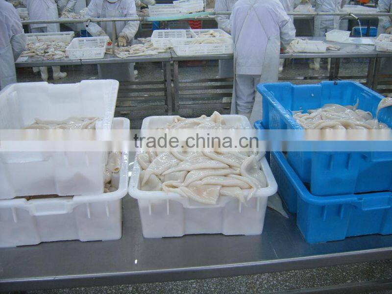 High quality Pacific squid tube (Todarodes Pacificus)