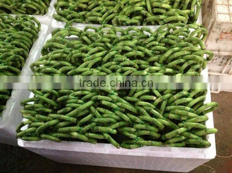 Lucky bamboo ( Dracaena Sanderiana) heart arrangement