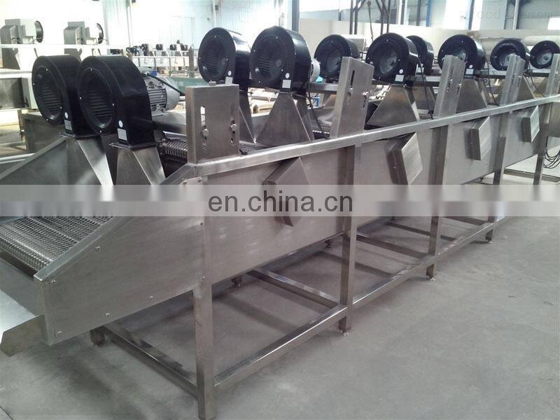 vegetable washing machine by air bubble,Industry used vegetable washing machine