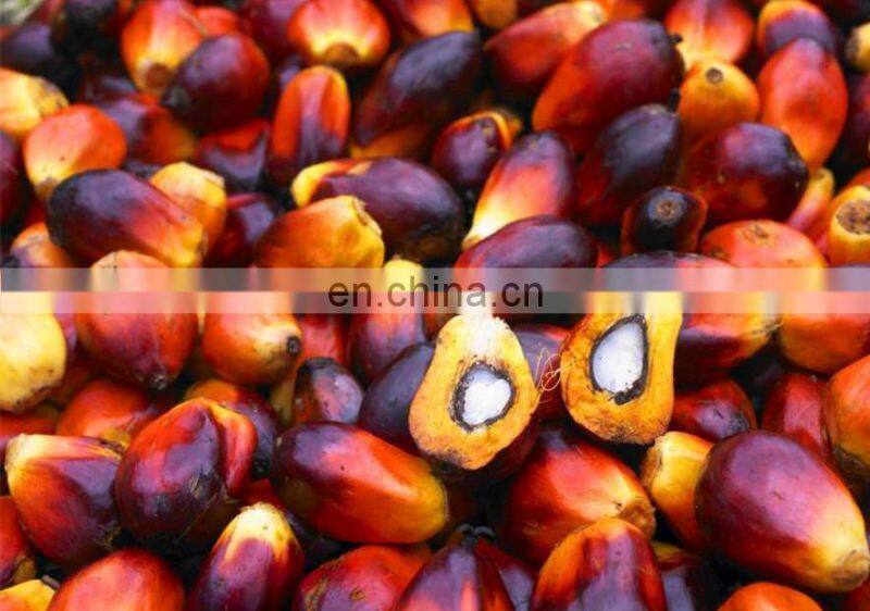 palm oil production line | palm fruit picker