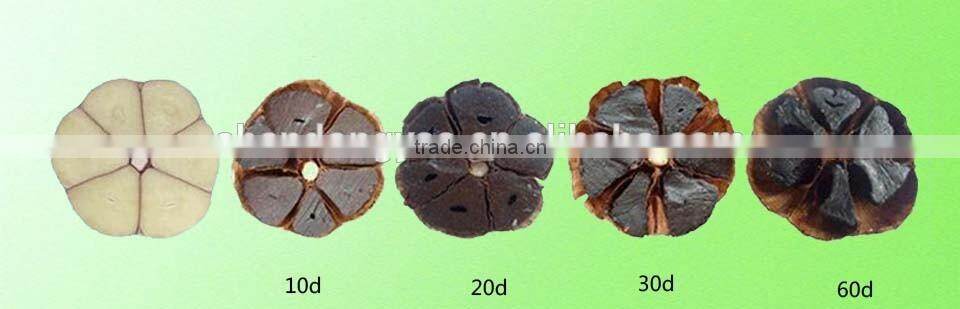 fermentation box black garlic Korean black garlic