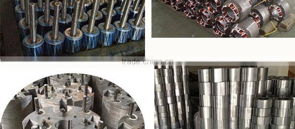 YL Series 1 Phase Dual-Valued Electric Motor