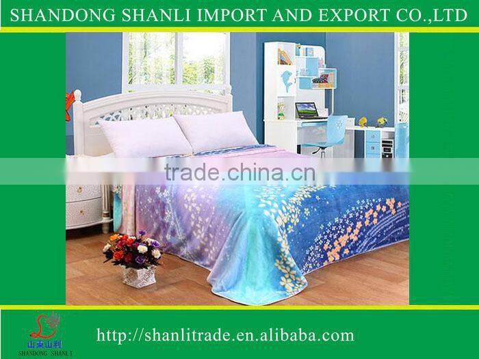 100%Polyester Raschel Blanket