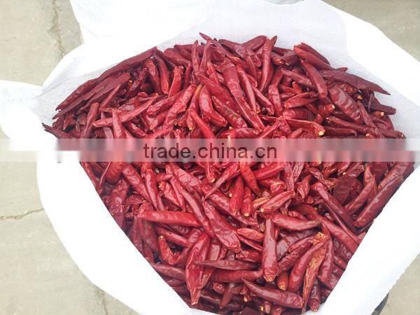 indian dry red chilli