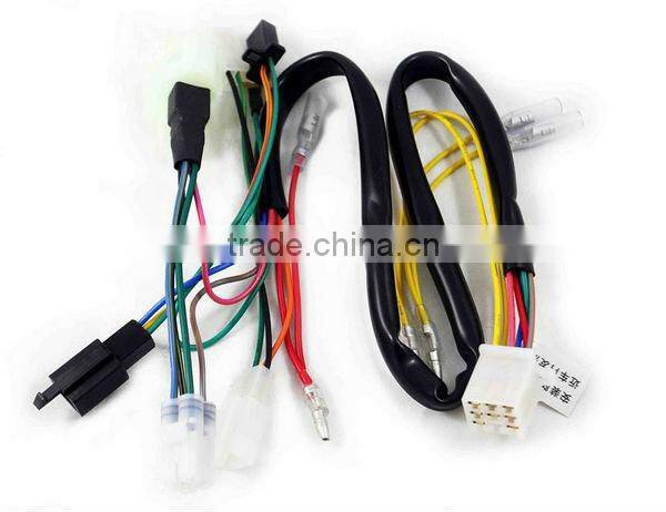 Professional Truck Wiring harness (RoHS)