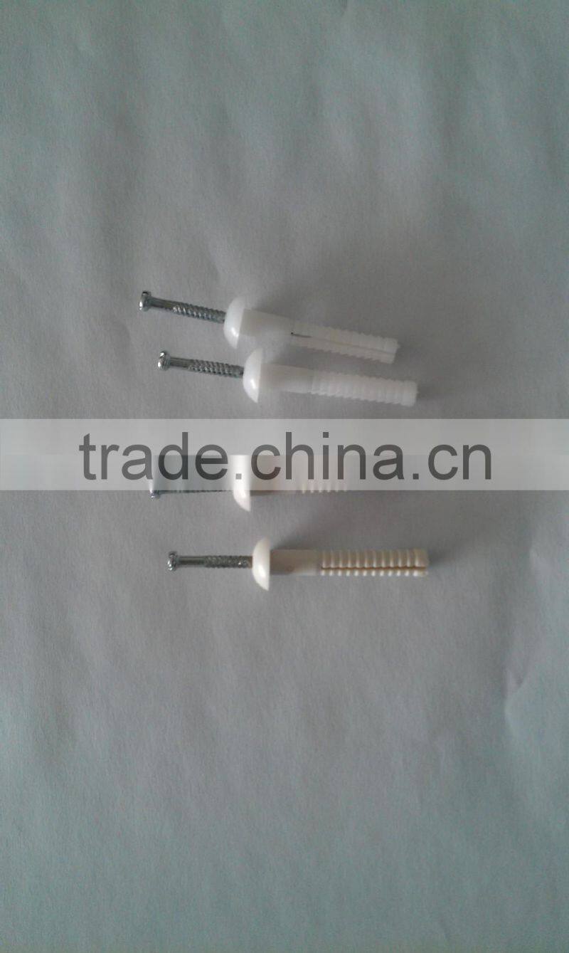 plastic anchor,Expend Nail