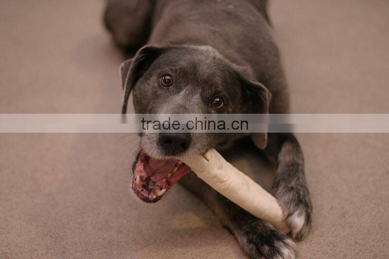 nutritrional food DPH single-screw extruder and SPH double-screw extruder