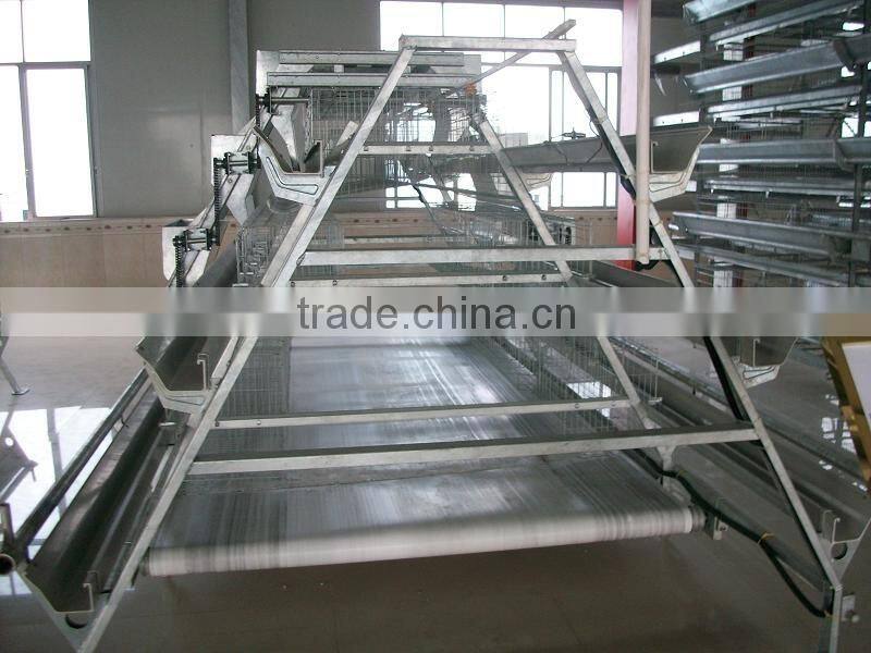 4 tier chicken layer battery cage for tanzania poultry farm house design
